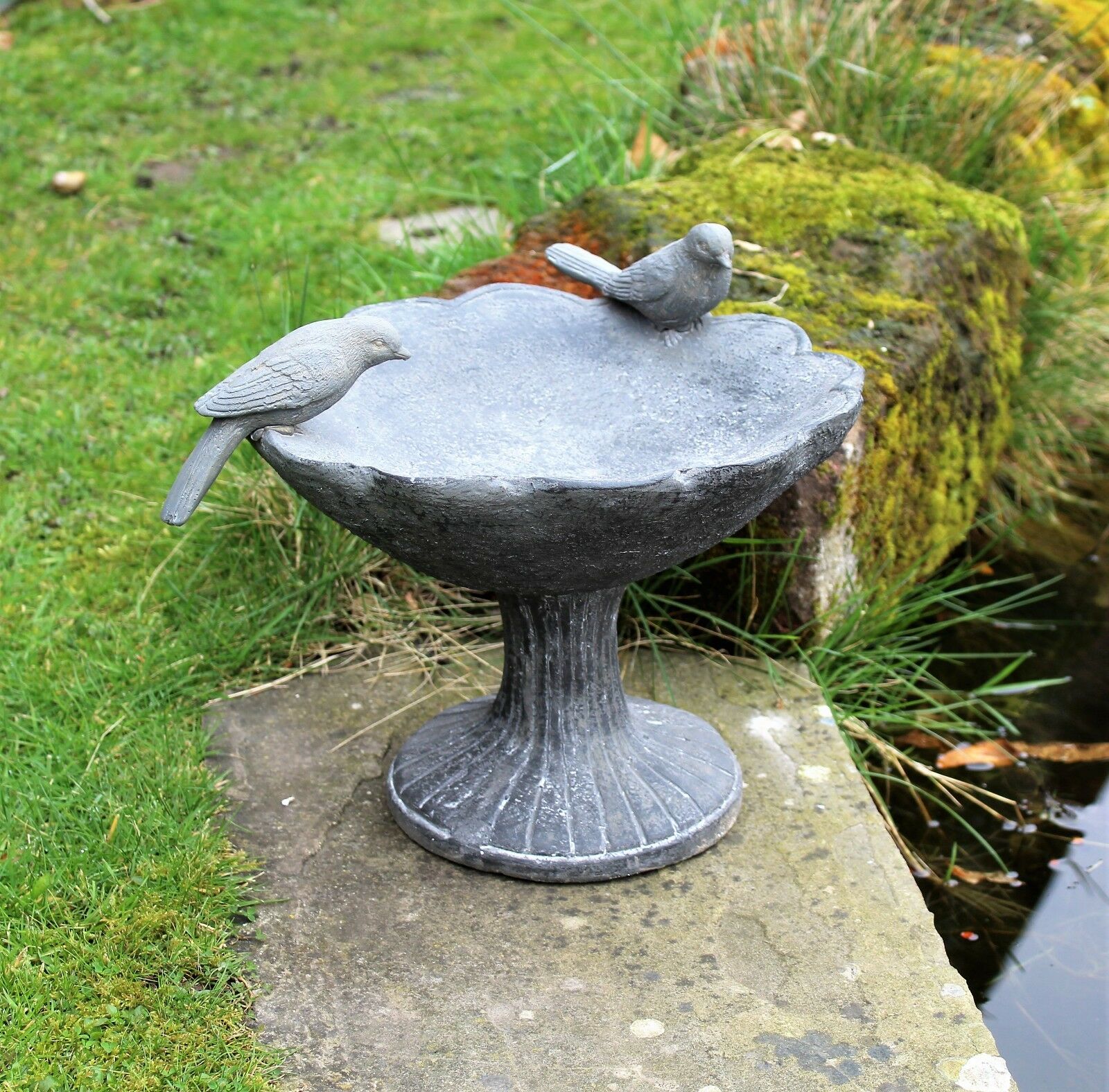Bird Bath - Image 6
