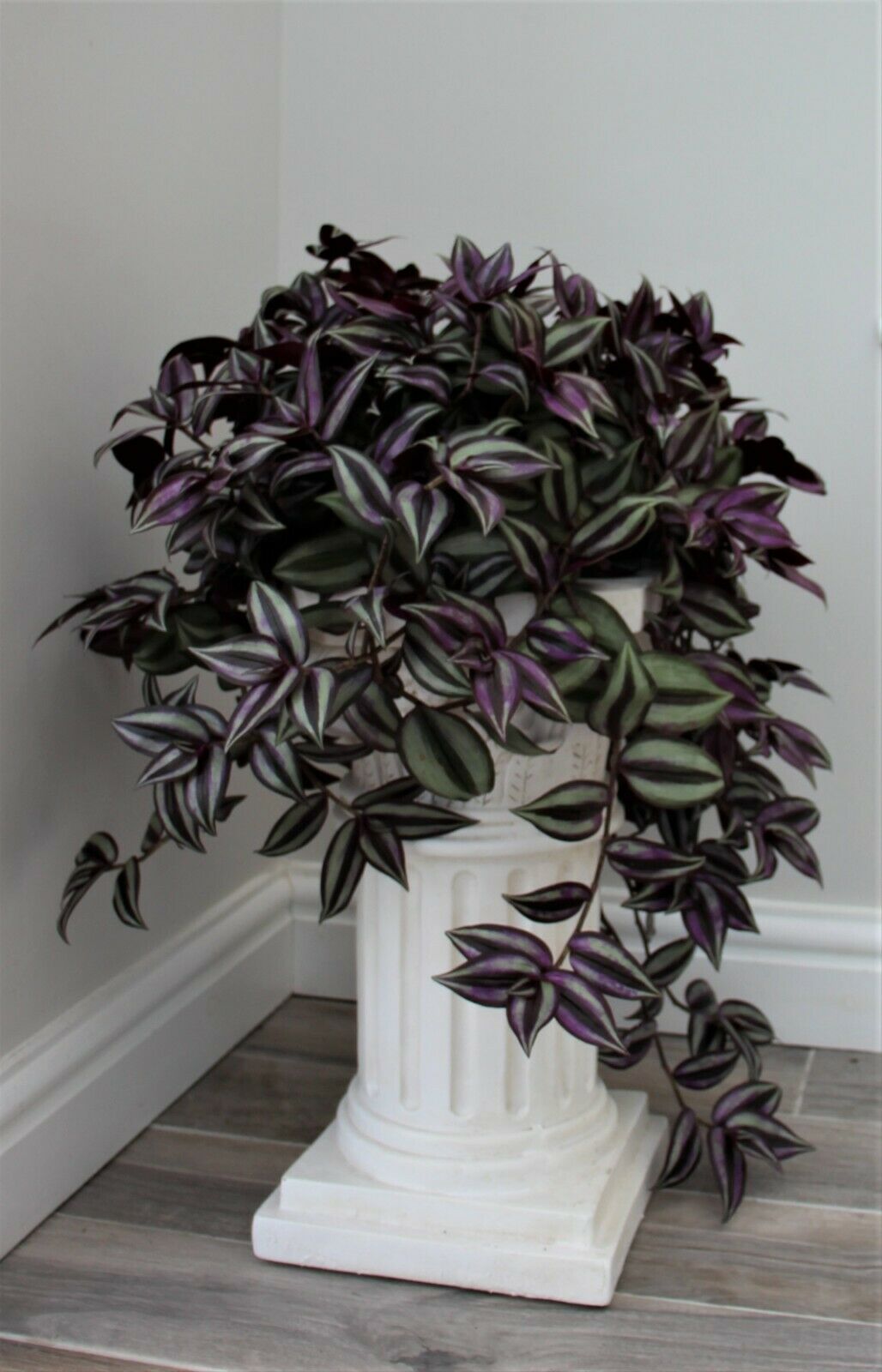 Pedestal Pot Plant Stand 46cm - Image 10