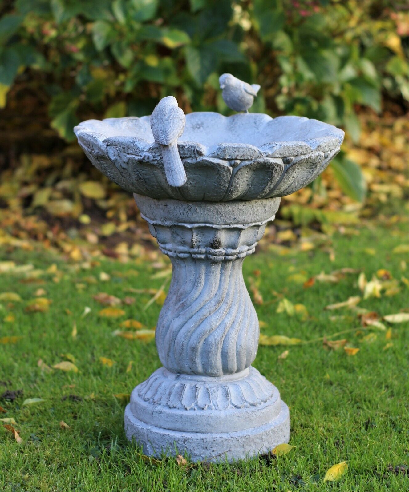 Slate Grey Bird Bath Bowl - Image 9