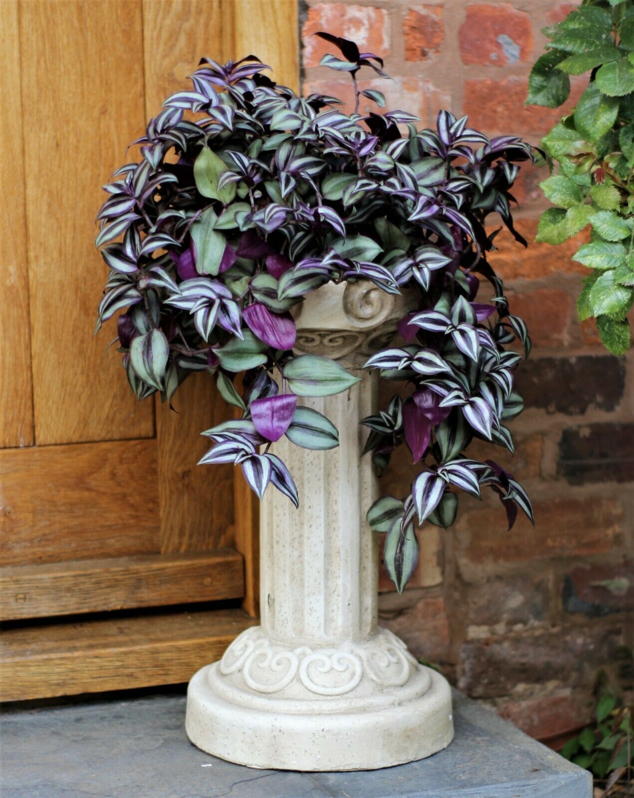 Pedestal Pot Plant Stand 52cm - Image 10