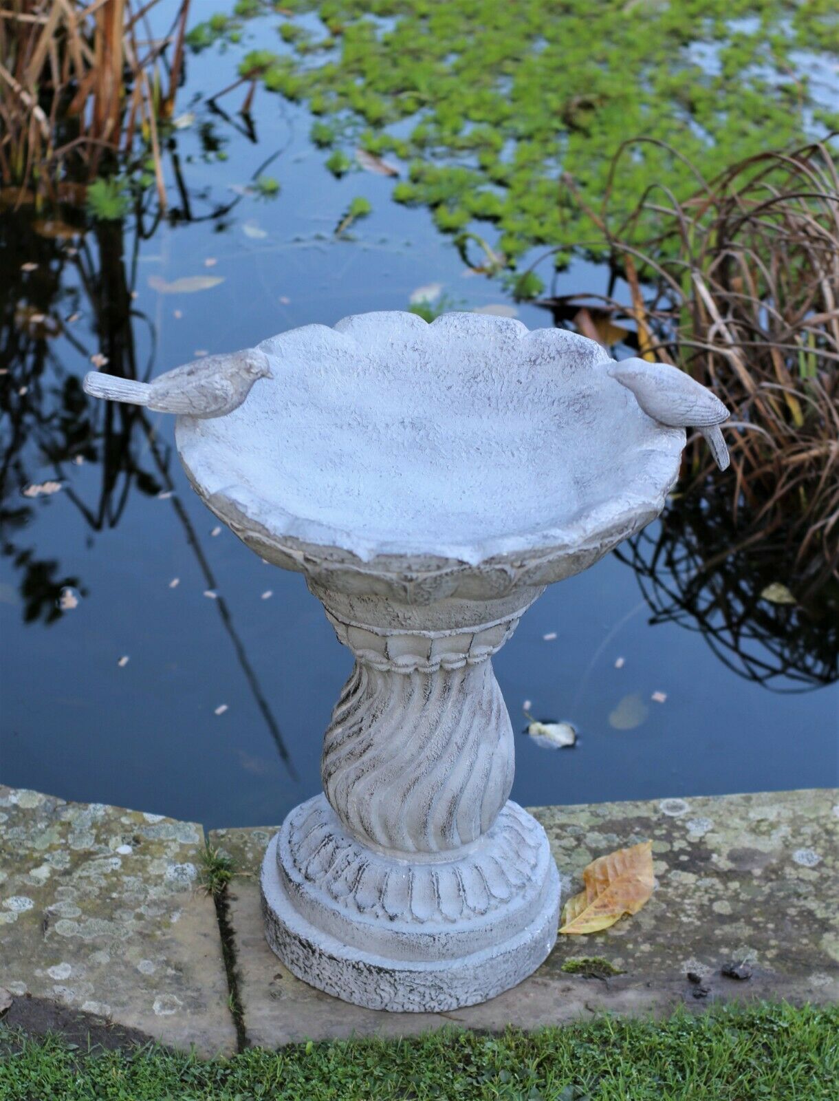 Slate Grey Bird Bath Bowl - Image 10