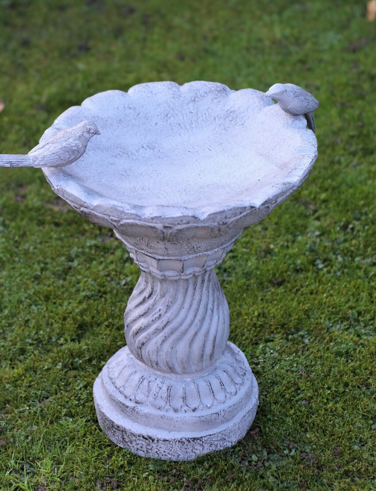 Slate Grey Bird Bath Bowl - Image 4
