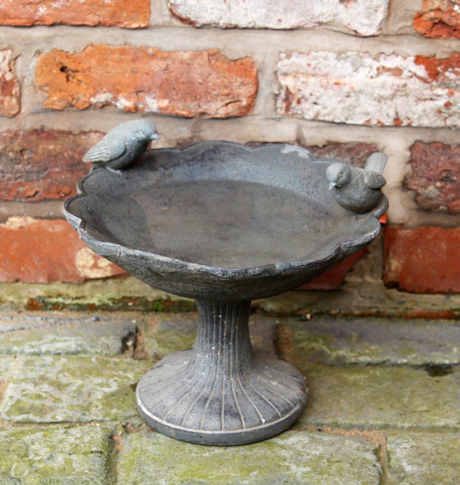 Bird Bath - Image 4