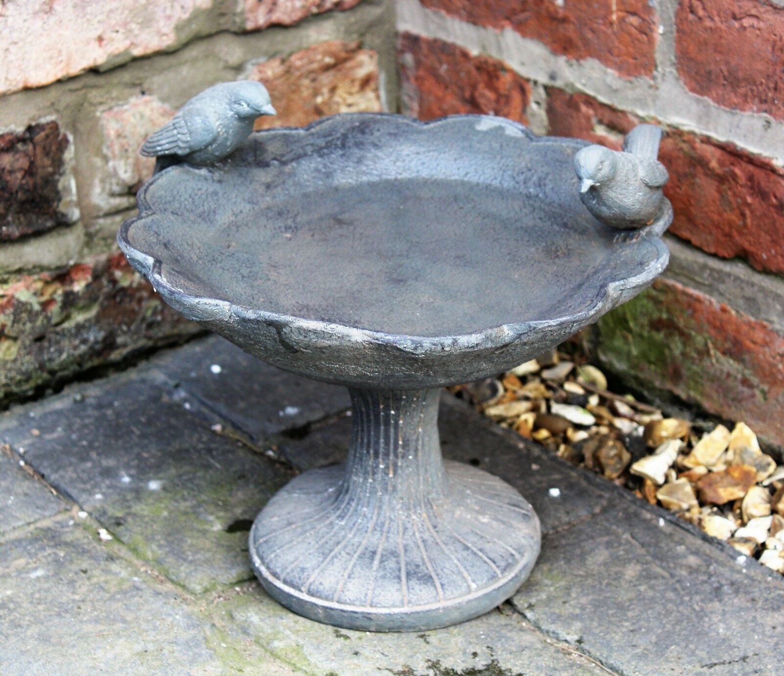 Bird Bath - Image 5