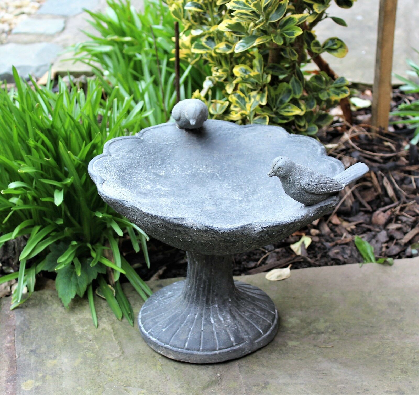 Bird Bath - Image 7