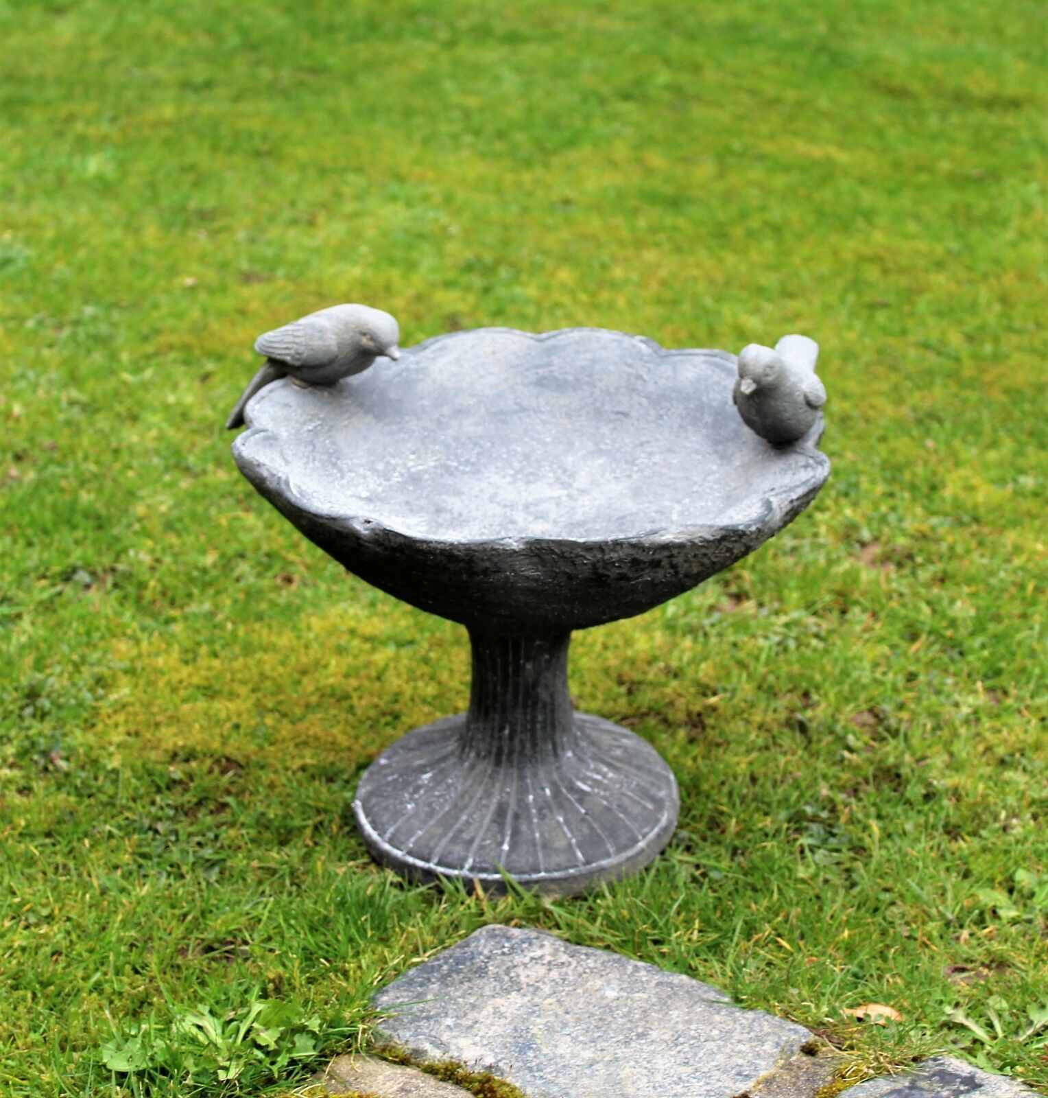 Bird Bath - Image 8