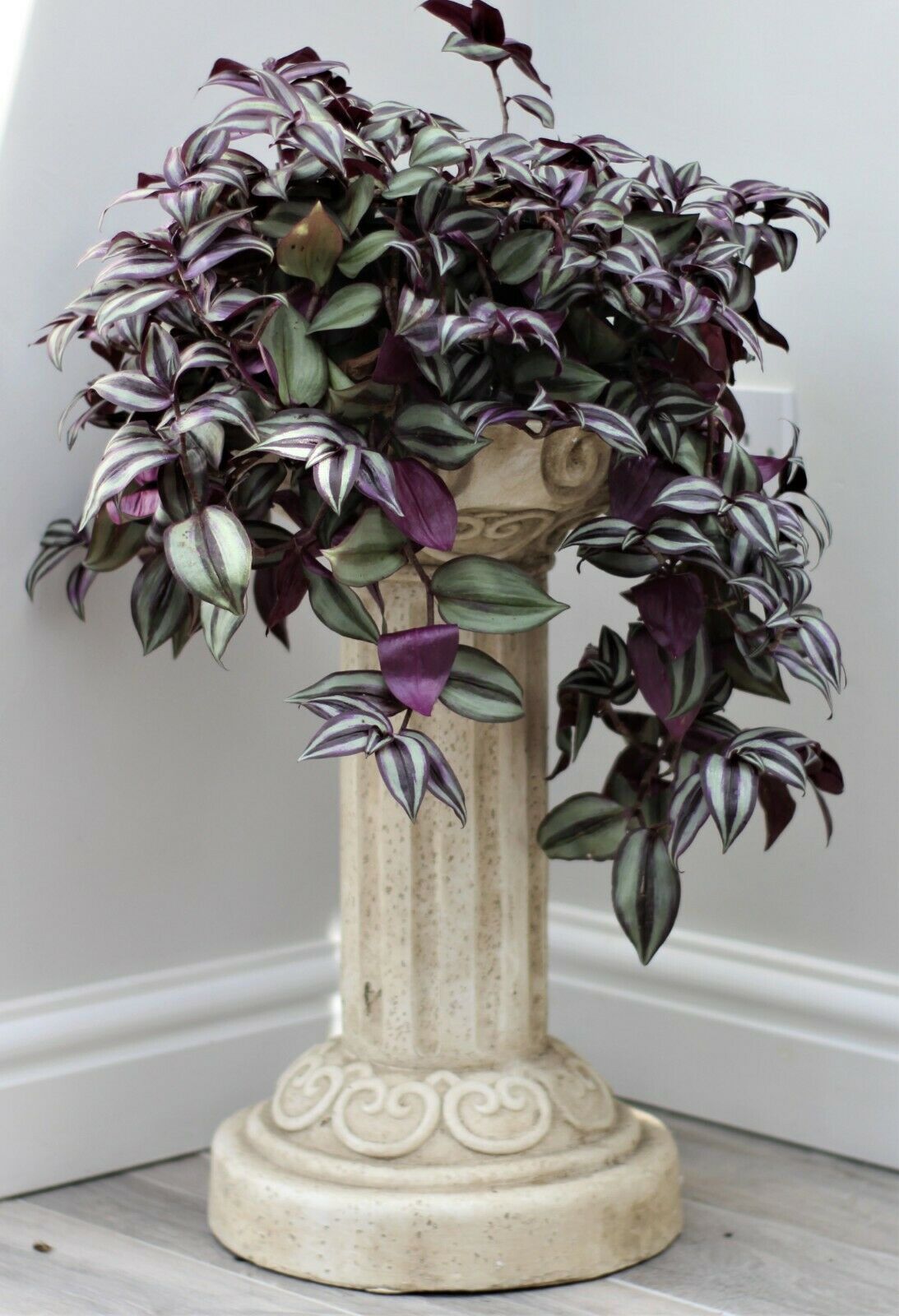 Pedestal Pot Plant Stand 52cm - Image 4