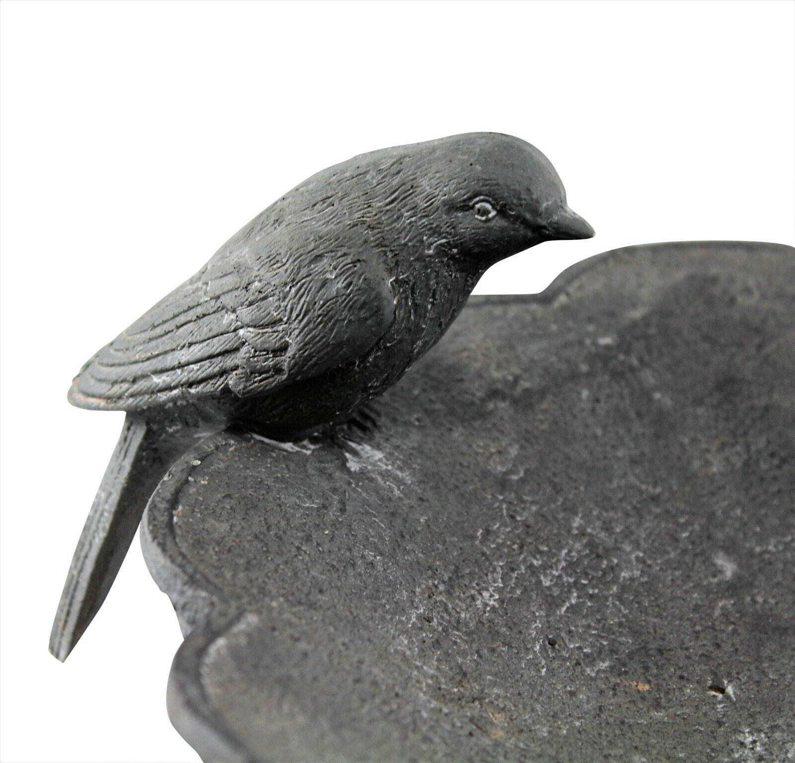 Bird Bath - Image 2
