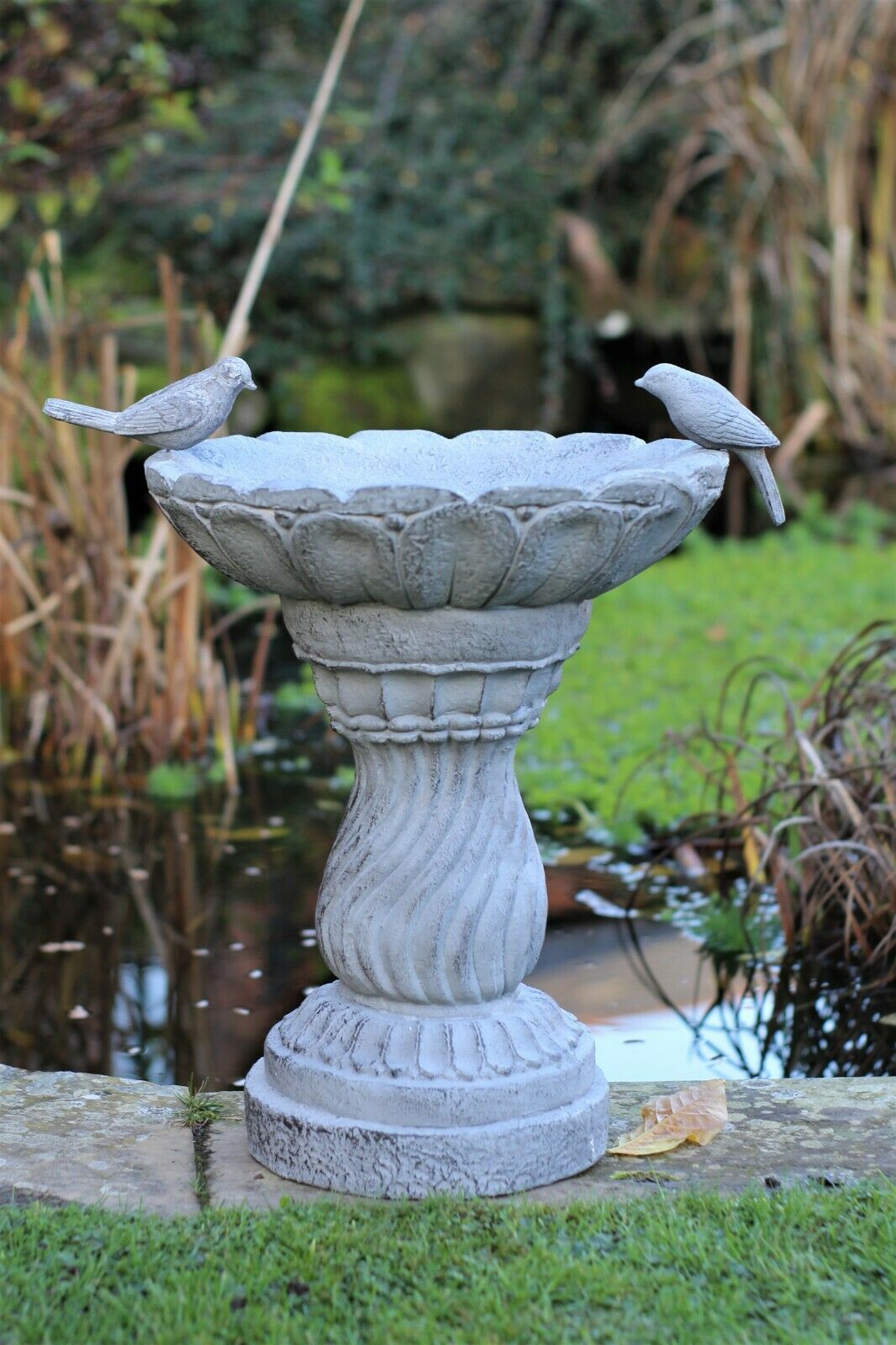 Slate Grey Bird Bath Bowl - Image 11