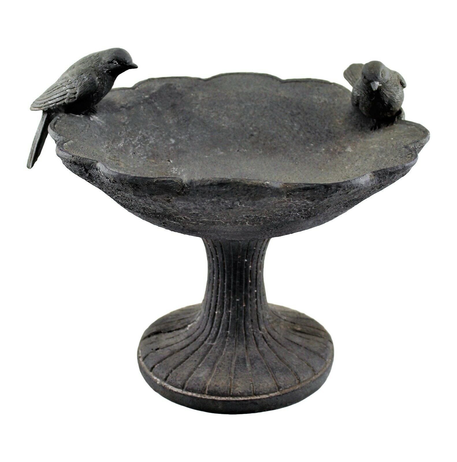 Bird Bath - Image 3